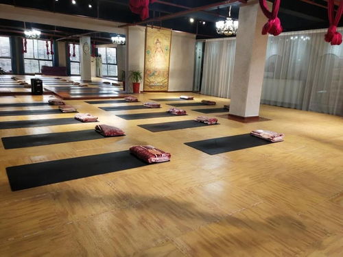 暖豐石墨烯電熱膜地暖 瑜伽館、養(yǎng)生館與健身房的應(yīng)用優(yōu)勢及研發(fā)進(jìn)展